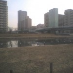 img346.jpg